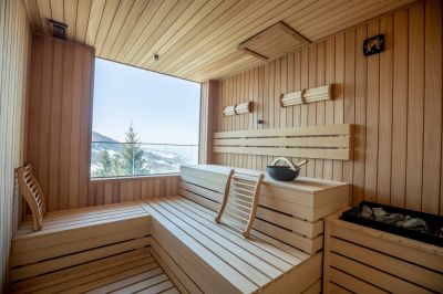 Modern Sauna Interior