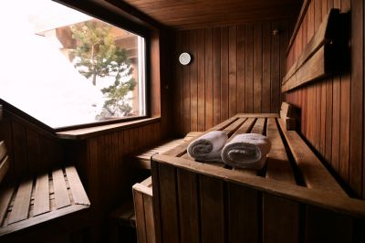 Specialized Sauna Companies